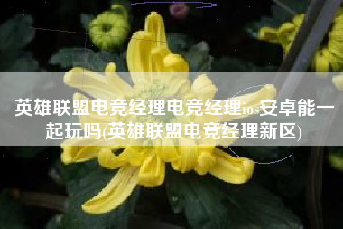 英雄联盟电竞经理电竞经理ios安卓能一起玩吗(英雄联盟电竞经理新区)