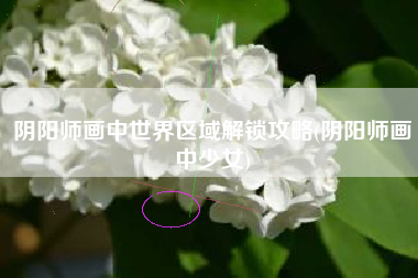阴阳师画中世界区域解锁攻略(阴阳师画中少女)