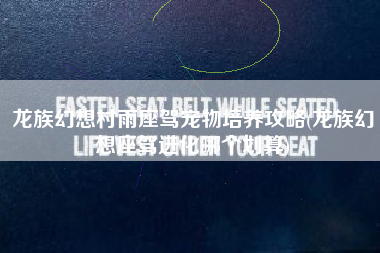 龙族幻想村雨座驾宠物培养攻略(龙族幻想座驾进化哪个划算)