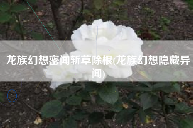 龙族幻想密闻斩草除根(龙族幻想隐藏异闻)