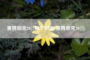赛博朋克2077每个职业(赛博朋克2077)