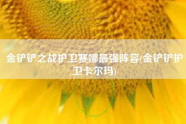 金铲铲之战护卫赛娜最强阵容(金铲铲护卫卡尔玛)