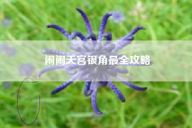 闹闹天宫银角最全攻略