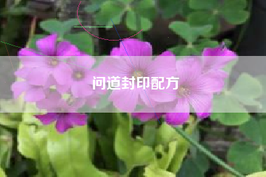 问道封印配方