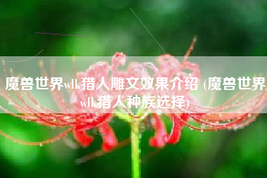 魔兽世界wlk猎人雕文效果介绍 (魔兽世界wlk猎人种族选择)