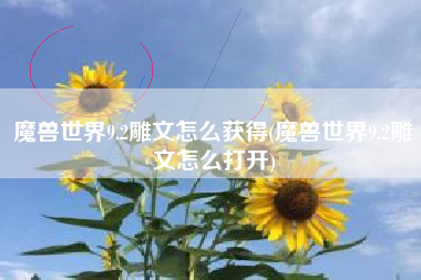 魔兽世界9.2雕文怎么获得(魔兽世界9.2雕文怎么打开)
