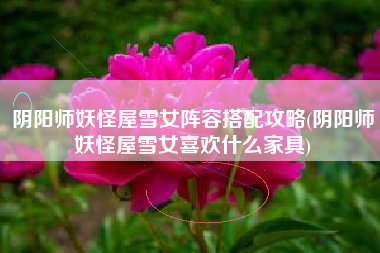 阴阳师妖怪屋雪女阵容搭配攻略(阴阳师妖怪屋雪女喜欢什么家具)