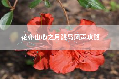 花亦山心之月鲲岛风声攻略