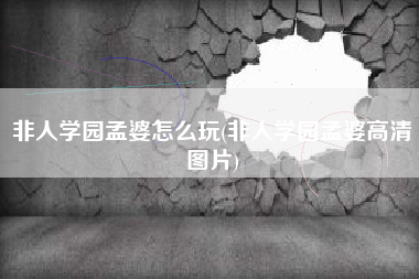 非人学园孟婆怎么玩(非人学园孟婆高清图片)