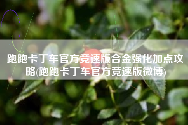 跑跑卡丁车官方竞速版合金强化加点攻略(跑跑卡丁车官方竞速版微博)