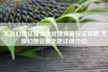 龙族幻想征服之地社团竞赛玩法攻略(龙族幻想征服之地详细介绍)