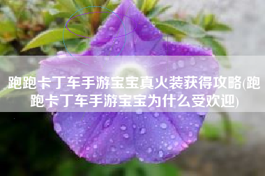 跑跑卡丁车手游宝宝真火装获得攻略(跑跑卡丁车手游宝宝为什么受欢迎)