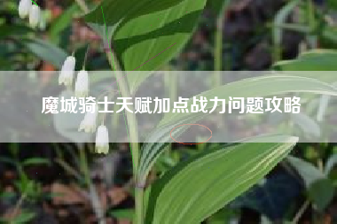 魔城骑士天赋加点战力问题攻略
