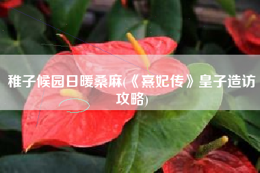 稚子候园日暖桑麻(《熹妃传》皇子造访攻略)