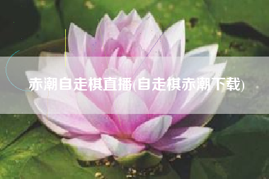 赤潮自走棋直播(自走棋赤潮下载)