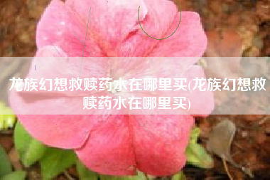 龙族幻想救赎药水在哪里买(龙族幻想救赎药水在哪里买)