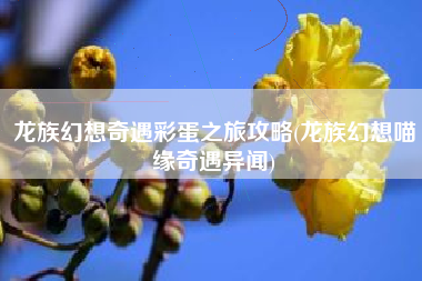 龙族幻想奇遇彩蛋之旅攻略(龙族幻想喵缘奇遇异闻)