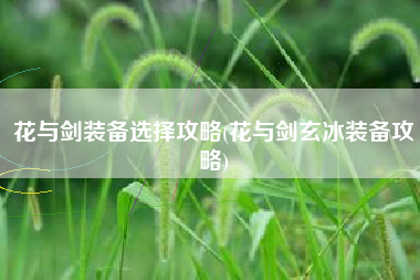 花与剑装备选择攻略(花与剑玄冰装备攻略)