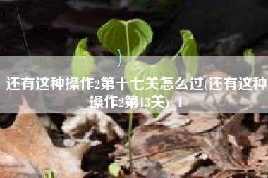 还有这种操作2第十七关怎么过(还有这种操作2第13关)_1
