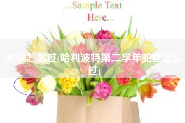 蛇怪怎么过(哈利波特第二学年蛇怪怎么过)