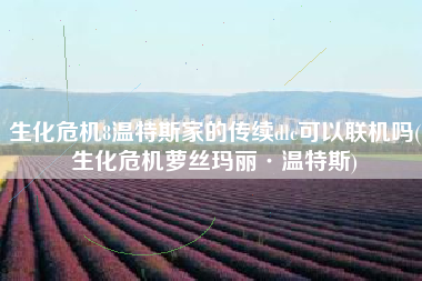 生化危机8温特斯家的传续dlc可以联机吗(生化危机萝丝玛丽·温特斯)