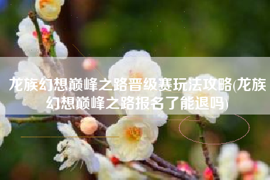 龙族幻想巅峰之路晋级赛玩法攻略(龙族幻想巅峰之路报名了能退吗)