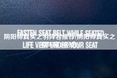 阴阳师真实之羽阵容推荐(阴阳师真实之羽阵容10回合)