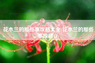 花木兰的那些事攻略大全(花木兰的那些事攻略15)