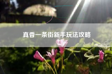 真香一条街新手玩法攻略