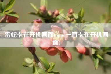 雷蛇卡在开机画面(oppo一直卡在开机画面)