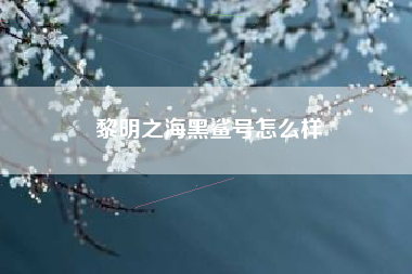 黎明之海黑鲨号怎么样