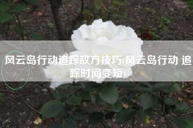 风云岛行动追踪敌方技巧(风云岛行动 追踪时间变短)