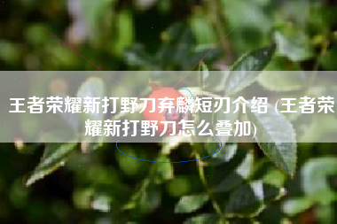 王者荣耀新打野刀弃麟短刃介绍 (王者荣耀新打野刀怎么叠加)