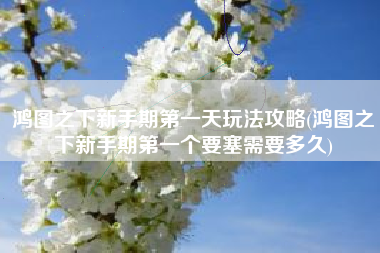 鸿图之下新手期第一天玩法攻略(鸿图之下新手期第一个要塞需要多久)
