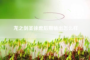 龙之剑圣徐庶后期输出怎么样