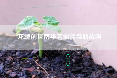 龙魂创世南华老仙能当助战吗