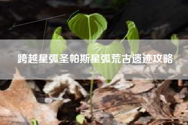 跨越星弧圣帕斯星弧荒古遗迹攻略