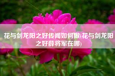 花与剑龙阳之好传闻如何做(花与剑龙阳之好薛将军在哪)