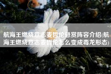 航海王燃烧意志麦哲伦悬赏阵容介绍(航海王燃烧意志麦哲伦怎么变成毒龙形态)