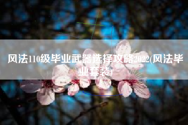 风法110级毕业武器选择攻略2022(风法毕业套装)