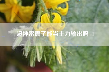 超神雷震子能当主力输出吗_1