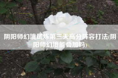 阴阳师幻境试炼第三天高分阵容打法(阴阳师幻境能叠加吗)