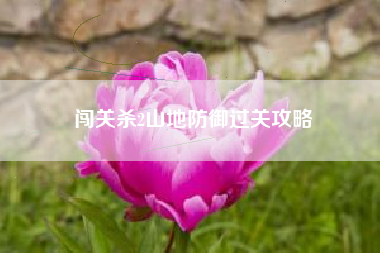 闯关杀2山地防御过关攻略