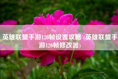 英雄联盟手游120帧设置攻略 (英雄联盟手游120帧修改器)