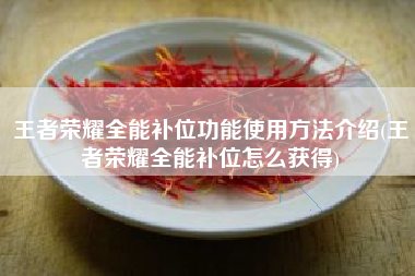 王者荣耀全能补位功能使用方法介绍(王者荣耀全能补位怎么获得)
