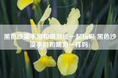 黑色沙漠手游和端游能一起玩吗(黑色沙漠手游和端游一样吗)