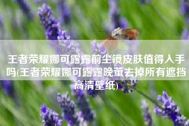 王者荣耀娜可露露前尘镜皮肤值得入手吗(王者荣耀娜可露露晚萤去掉所有遮挡高清壁纸)