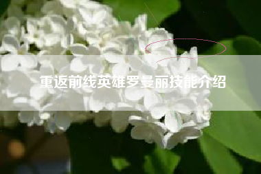 重返前线英雄罗曼丽技能介绍