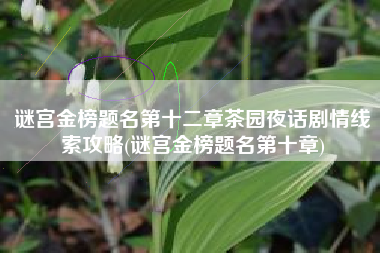 谜宫金榜题名第十二章茶园夜话剧情线索攻略(谜宫金榜题名第十章)