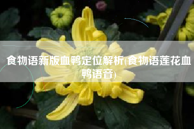 食物语新版血鸭定位解析(食物语莲花血鸭语音)